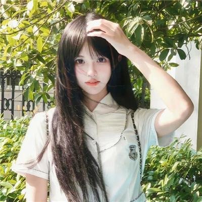 鲨鱼的儿子